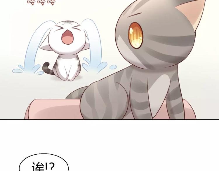 《猫爪之下》漫画最新章节第46话 突然的不舍！免费下拉式在线观看章节第【31】张图片