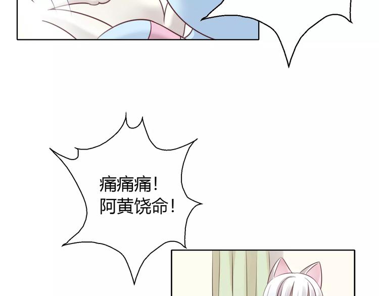 《猫爪之下》漫画最新章节第46话 突然的不舍！免费下拉式在线观看章节第【66】张图片