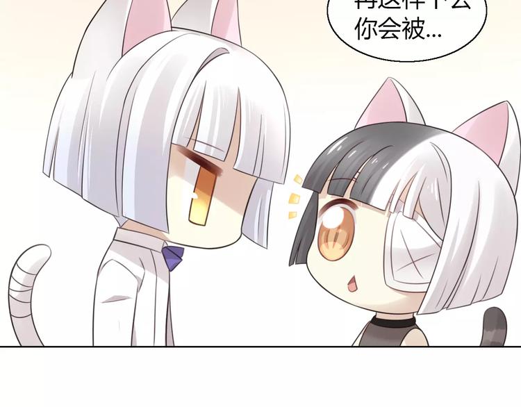 《猫爪之下》漫画最新章节第46话 突然的不舍！免费下拉式在线观看章节第【68】张图片