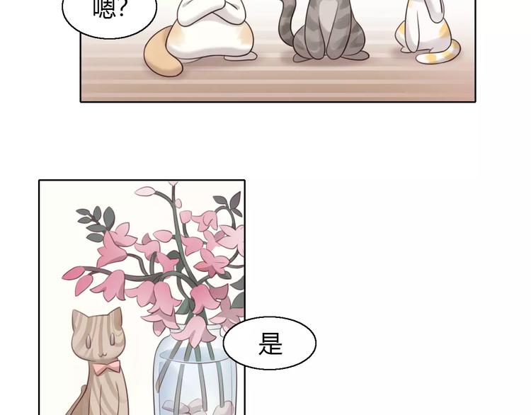 《猫爪之下》漫画最新章节第46话 突然的不舍！免费下拉式在线观看章节第【72】张图片