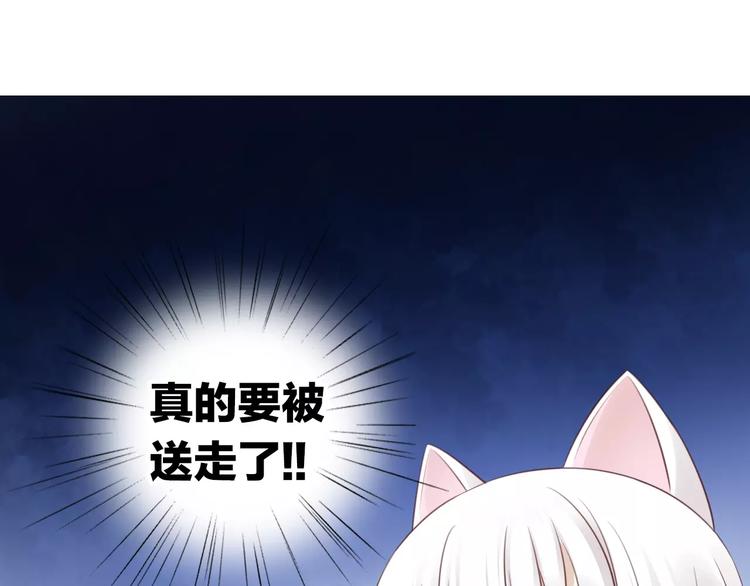 《猫爪之下》漫画最新章节第46话 突然的不舍！免费下拉式在线观看章节第【85】张图片