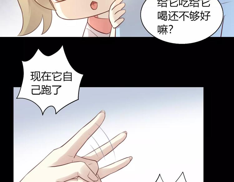 《猫爪之下》漫画最新章节第48话 一定要找到你！免费下拉式在线观看章节第【13】张图片