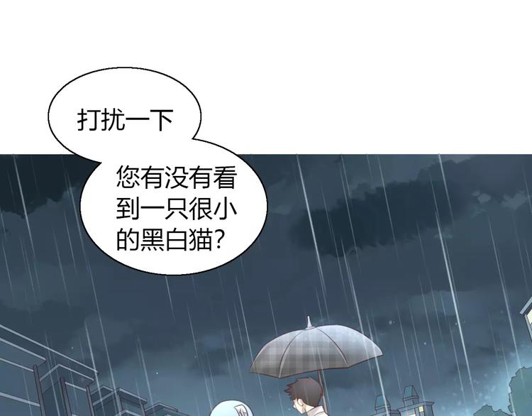 《猫爪之下》漫画最新章节第48话 一定要找到你！免费下拉式在线观看章节第【40】张图片