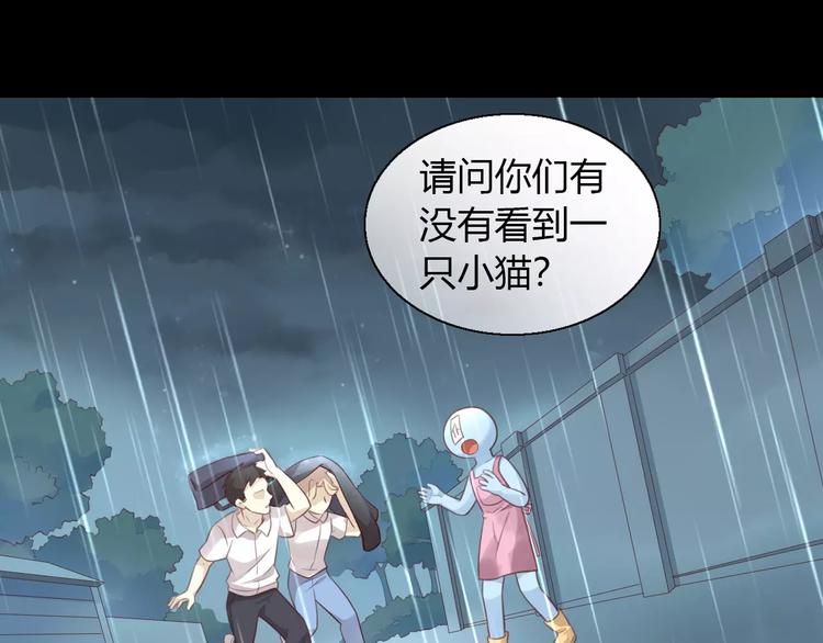 《猫爪之下》漫画最新章节第48话 一定要找到你！免费下拉式在线观看章节第【42】张图片