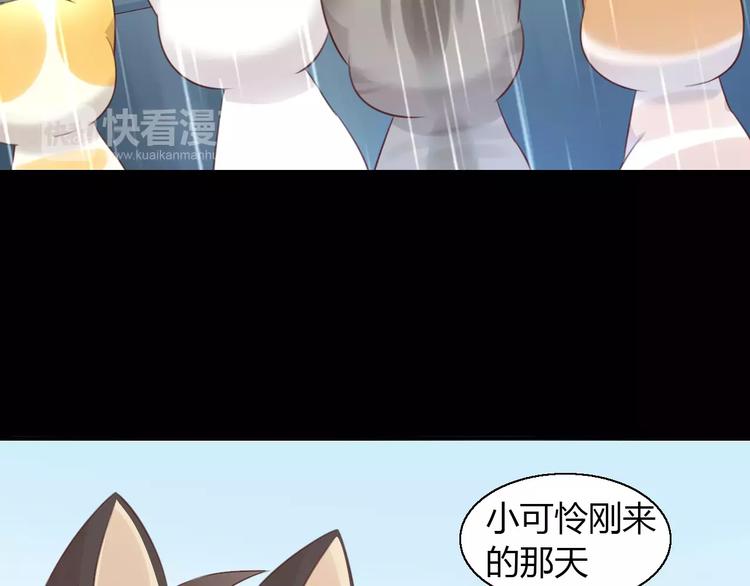 《猫爪之下》漫画最新章节第48话 一定要找到你！免费下拉式在线观看章节第【48】张图片