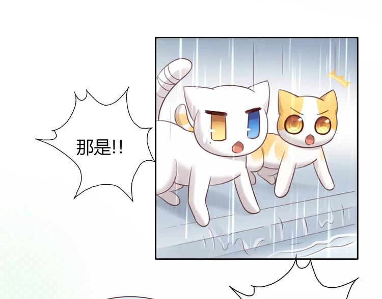 《猫爪之下》漫画最新章节第48话 一定要找到你！免费下拉式在线观看章节第【61】张图片