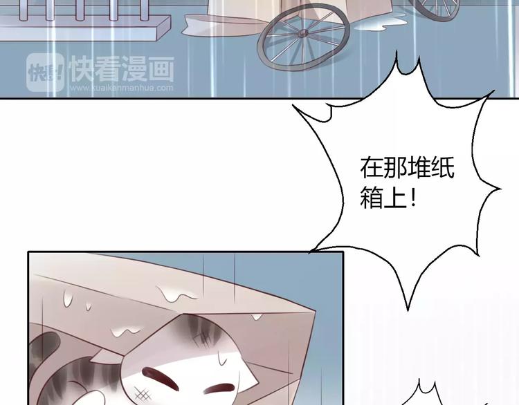 《猫爪之下》漫画最新章节第48话 一定要找到你！免费下拉式在线观看章节第【65】张图片