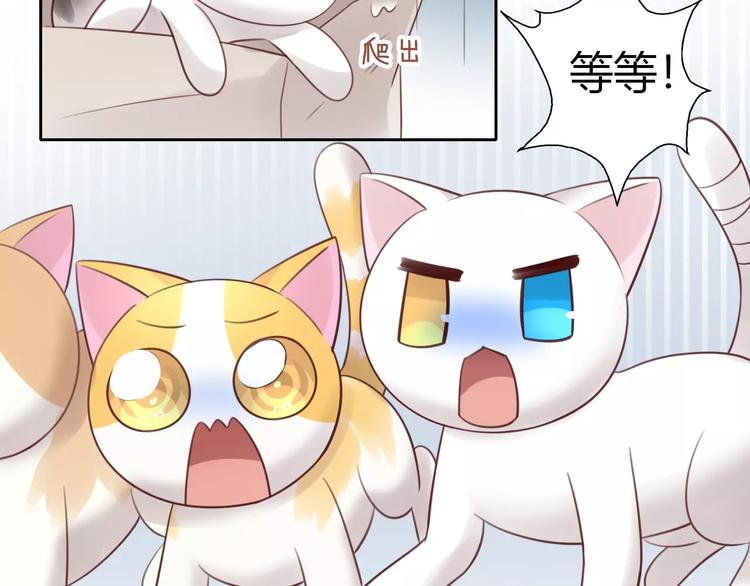 《猫爪之下》漫画最新章节第48话 一定要找到你！免费下拉式在线观看章节第【66】张图片