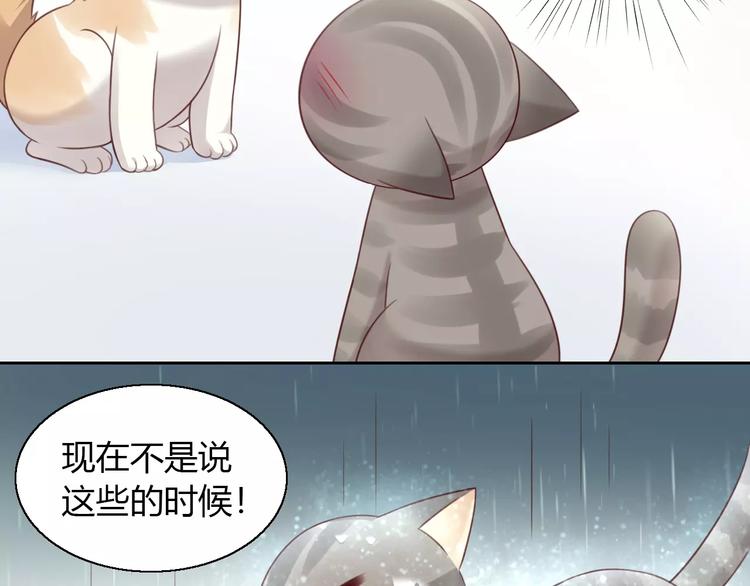 《猫爪之下》漫画最新章节第49话 我们是一家人啊免费下拉式在线观看章节第【16】张图片