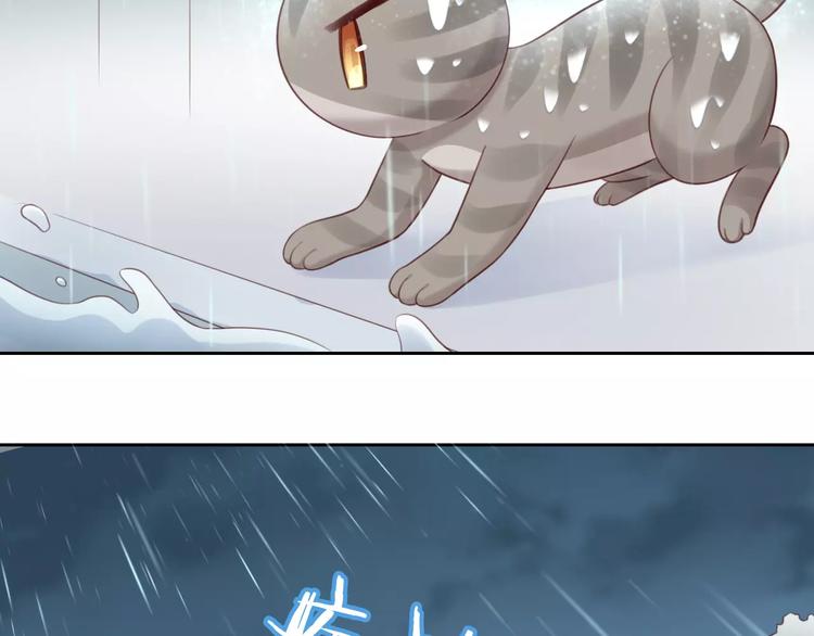 《猫爪之下》漫画最新章节第49话 我们是一家人啊免费下拉式在线观看章节第【17】张图片