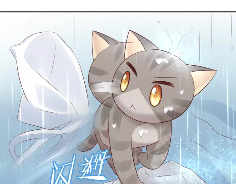 《猫爪之下》漫画最新章节第49话 我们是一家人啊免费下拉式在线观看章节第【21】张图片