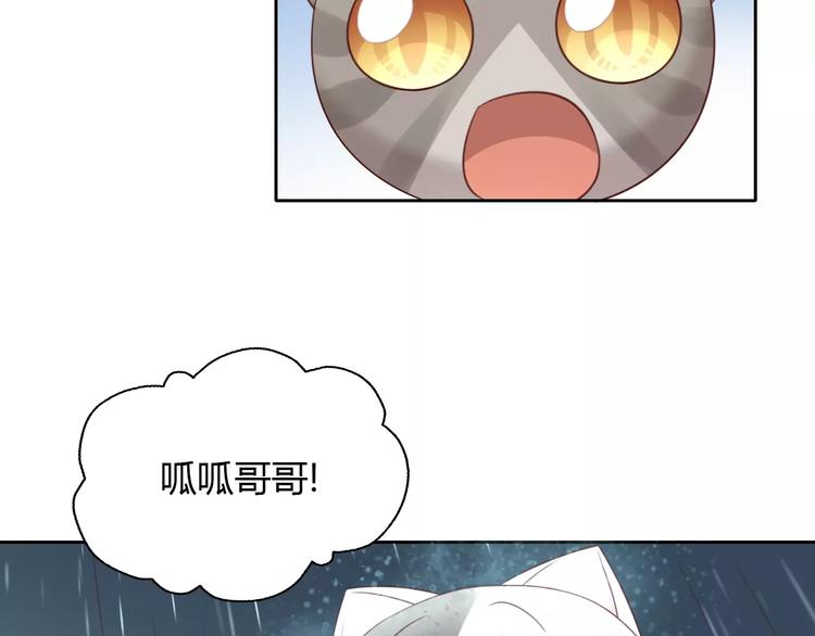 《猫爪之下》漫画最新章节第49话 我们是一家人啊免费下拉式在线观看章节第【24】张图片