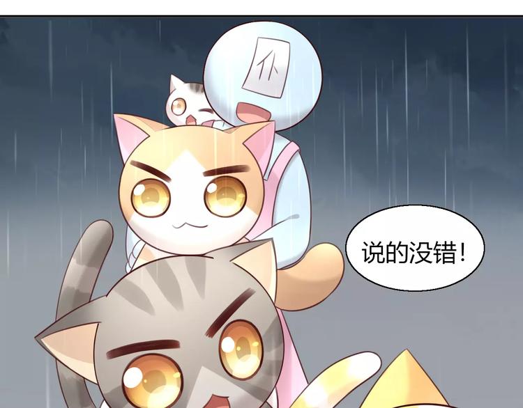 《猫爪之下》漫画最新章节第49话 我们是一家人啊免费下拉式在线观看章节第【63】张图片