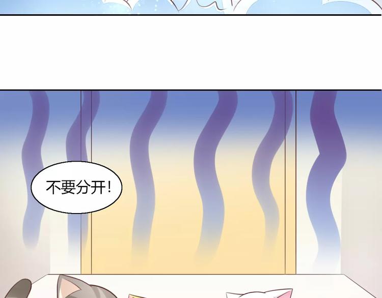 《猫爪之下》漫画最新章节第49话 我们是一家人啊免费下拉式在线观看章节第【77】张图片