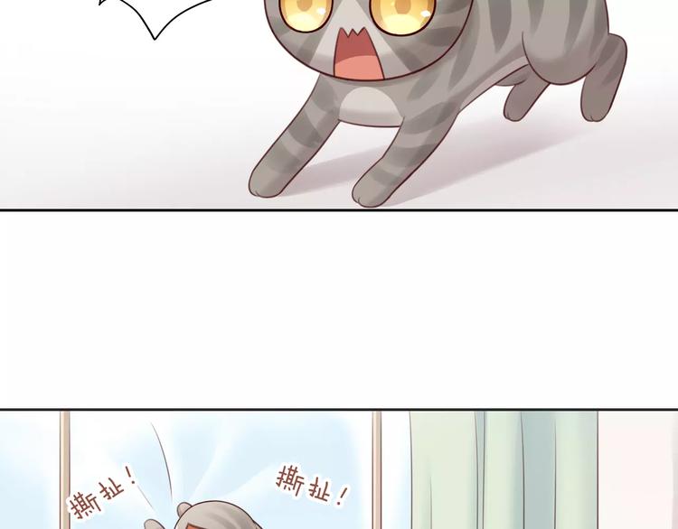 《猫爪之下》漫画最新章节第50话 互换身体！？免费下拉式在线观看章节第【17】张图片