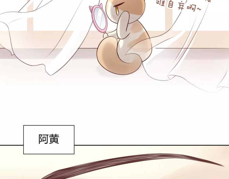 《猫爪之下》漫画最新章节第50话 互换身体！？免费下拉式在线观看章节第【20】张图片