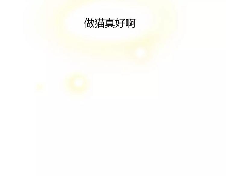 《猫爪之下》漫画最新章节第50话 互换身体！？免费下拉式在线观看章节第【42】张图片