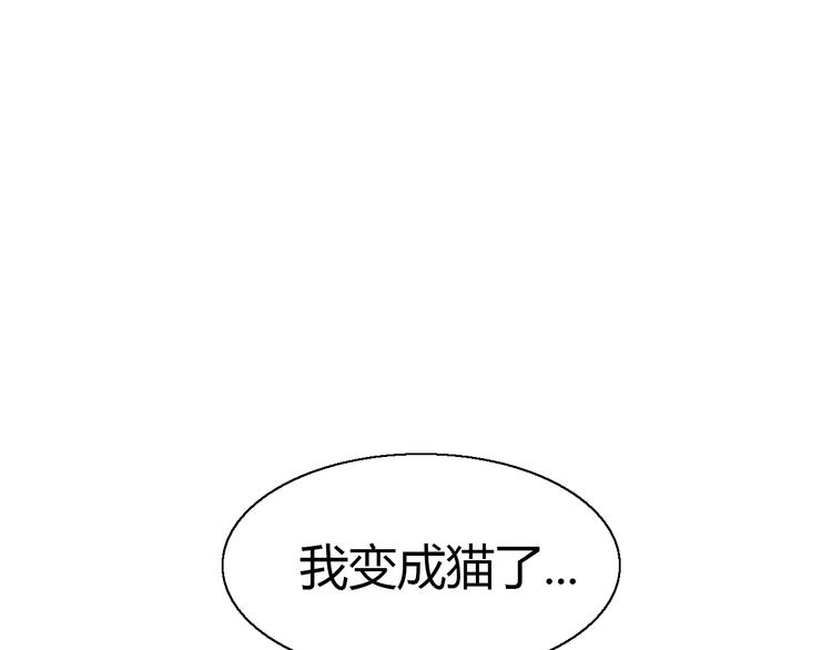 【猫爪之下】漫画-（第51话 人猫大互换？）章节漫画下拉式图片-3.jpg