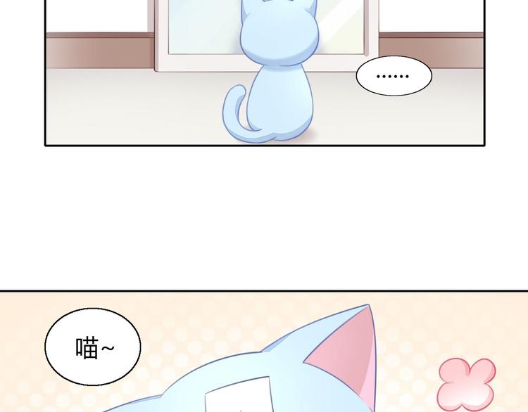 【猫爪之下】漫画-（第51话 人猫大互换？）章节漫画下拉式图片-5.jpg