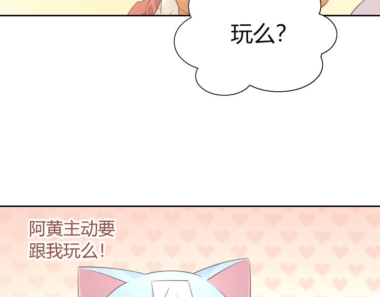 【猫爪之下】漫画-（第51话 人猫大互换？）章节漫画下拉式图片-73.jpg