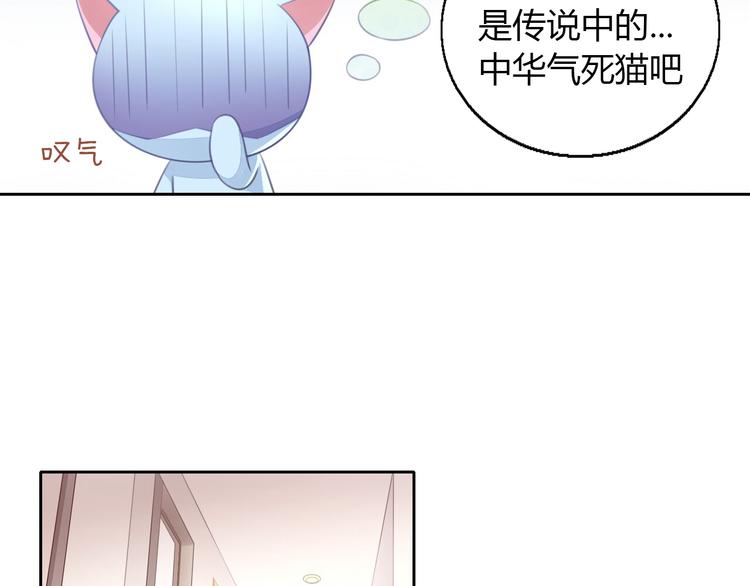 【猫爪之下】漫画-（第51话 人猫大互换？）章节漫画下拉式图片-8.jpg