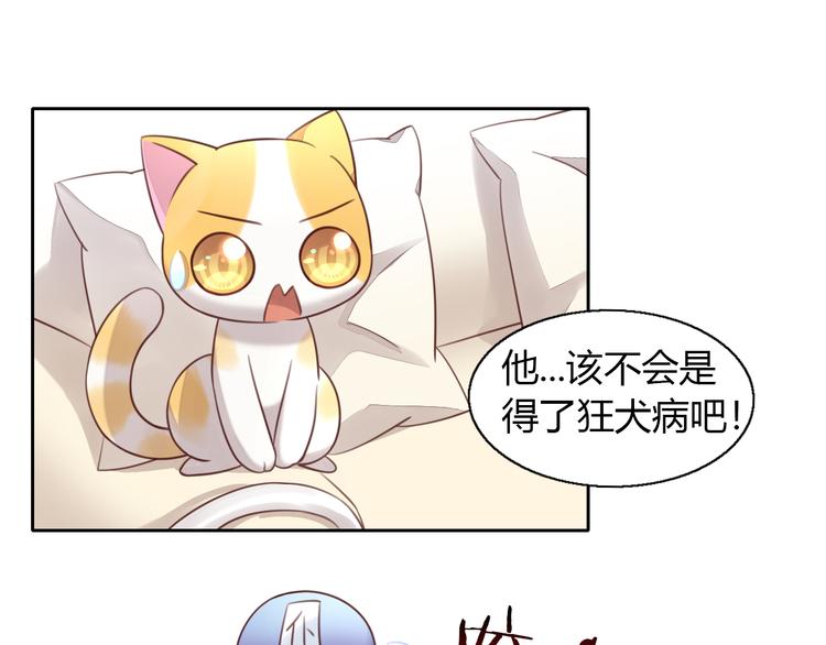 《猫爪之下》漫画最新章节第52话 一起喝彩！免费下拉式在线观看章节第【10】张图片