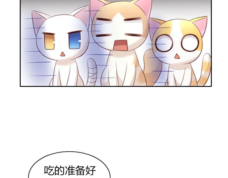 《猫爪之下》漫画最新章节第52话 一起喝彩！免费下拉式在线观看章节第【42】张图片