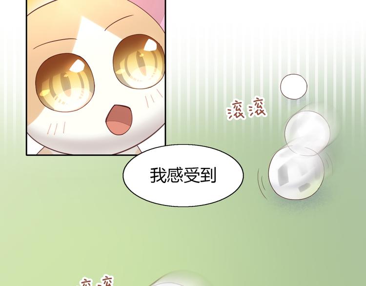 《猫爪之下》漫画最新章节第52话 一起喝彩！免费下拉式在线观看章节第【83】张图片