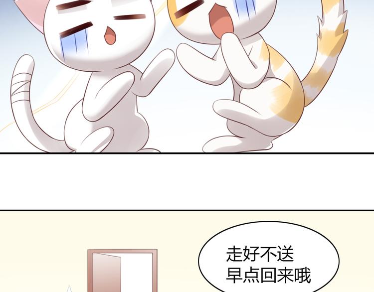 《猫爪之下》漫画最新章节第53话 新主人出现！免费下拉式在线观看章节第【11】张图片