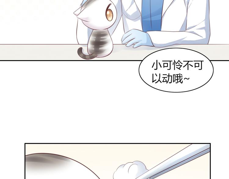 《猫爪之下》漫画最新章节第53话 新主人出现！免费下拉式在线观看章节第【30】张图片