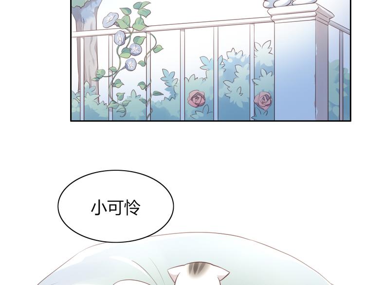 《猫爪之下》漫画最新章节第53话 新主人出现！免费下拉式在线观看章节第【5】张图片