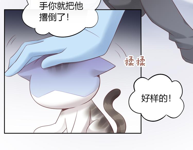 《猫爪之下》漫画最新章节第53话 新主人出现！免费下拉式在线观看章节第【57】张图片