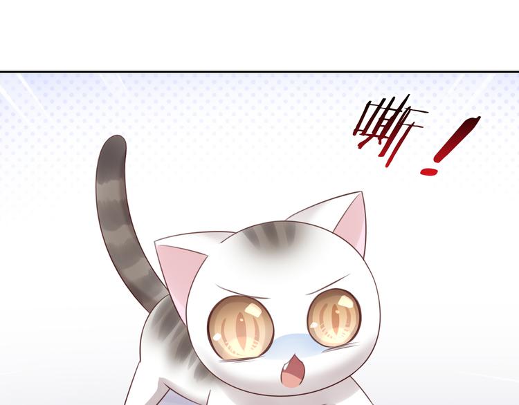 《猫爪之下》漫画最新章节第53话 新主人出现！免费下拉式在线观看章节第【64】张图片