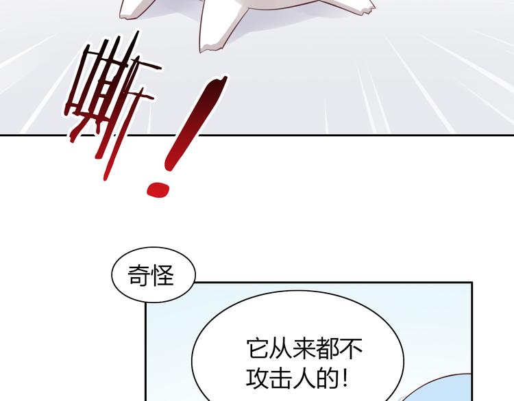 《猫爪之下》漫画最新章节第53话 新主人出现！免费下拉式在线观看章节第【65】张图片