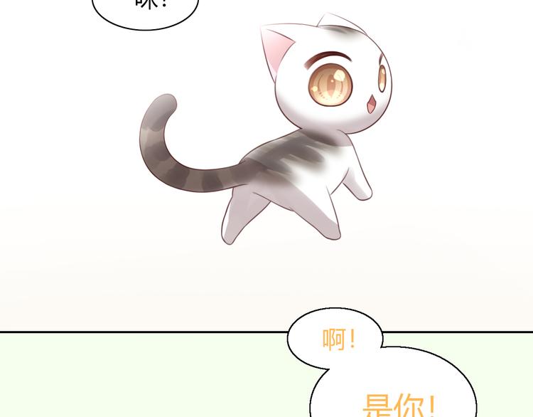 《猫爪之下》漫画最新章节第53话 新主人出现！免费下拉式在线观看章节第【72】张图片