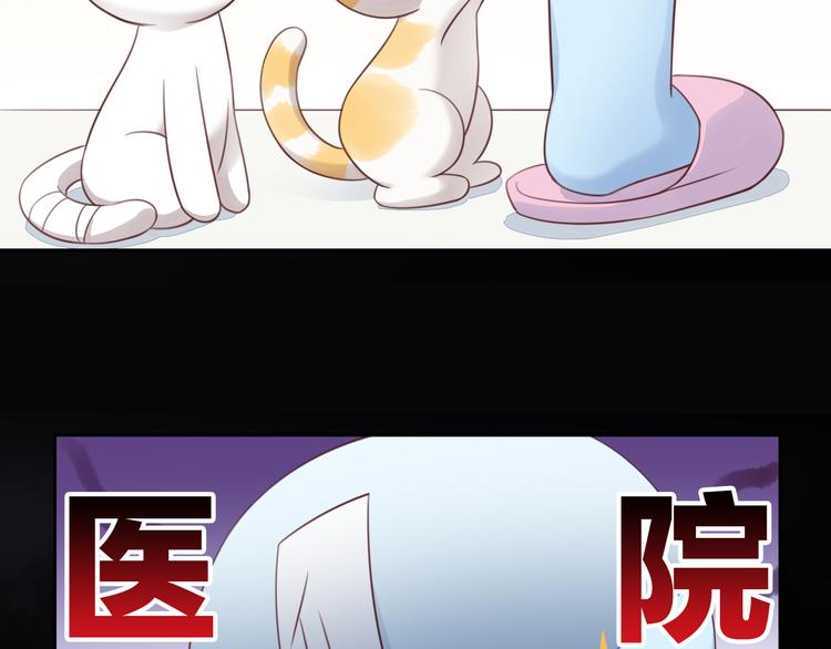 《猫爪之下》漫画最新章节第53话 新主人出现！免费下拉式在线观看章节第【9】张图片