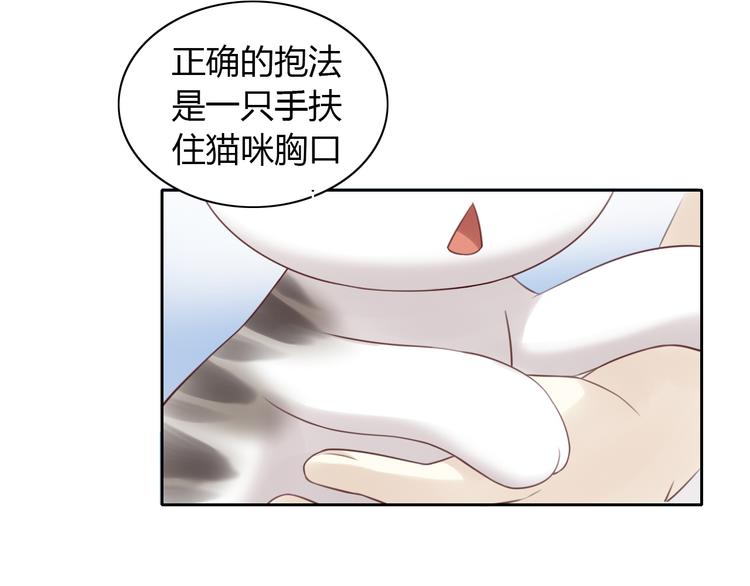 《猫爪之下》漫画最新章节第54话 做你的英雄免费下拉式在线观看章节第【28】张图片