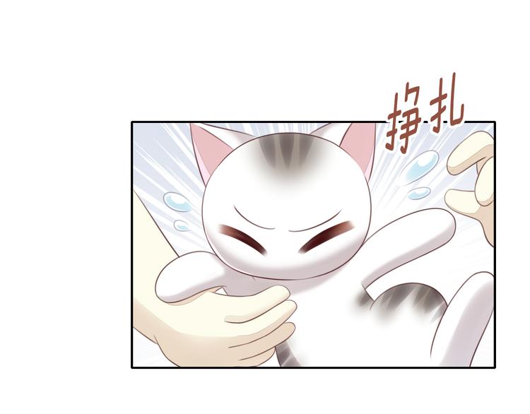 《猫爪之下》漫画最新章节第54话 做你的英雄免费下拉式在线观看章节第【40】张图片