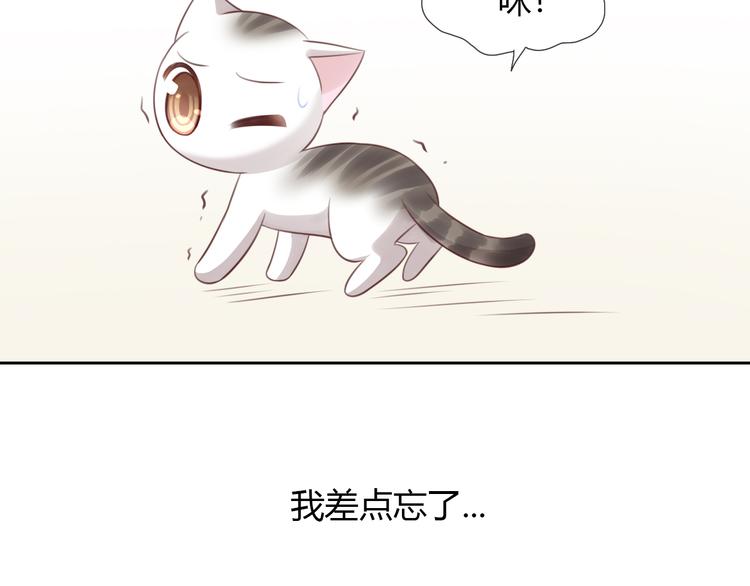 《猫爪之下》漫画最新章节第54话 做你的英雄免费下拉式在线观看章节第【77】张图片