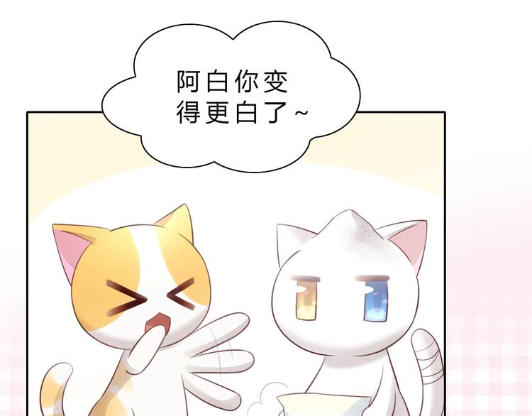 《猫爪之下》漫画最新章节第56话 照片免费下拉式在线观看章节第【45】张图片