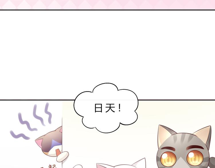 《猫爪之下》漫画最新章节第56话 照片免费下拉式在线观看章节第【6】张图片