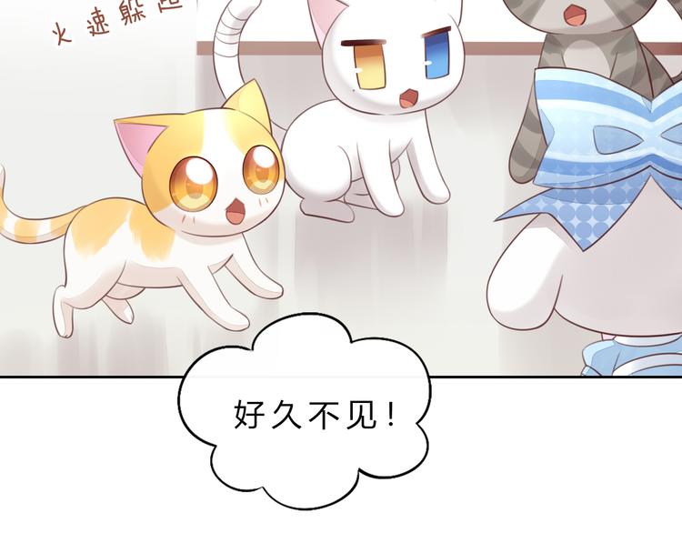 《猫爪之下》漫画最新章节第56话 照片免费下拉式在线观看章节第【7】张图片