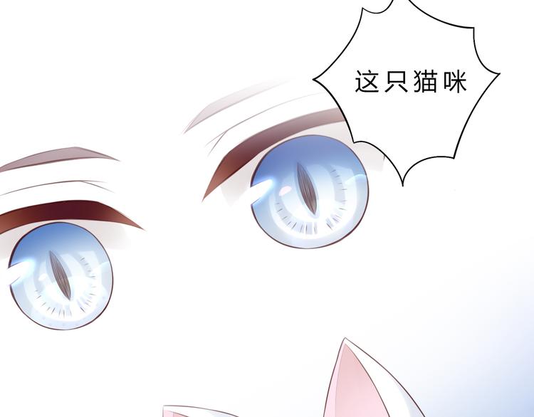 《猫爪之下》漫画最新章节第56话 照片免费下拉式在线观看章节第【78】张图片