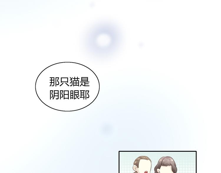 《猫爪之下》漫画最新章节第57话 替代品免费下拉式在线观看章节第【42】张图片