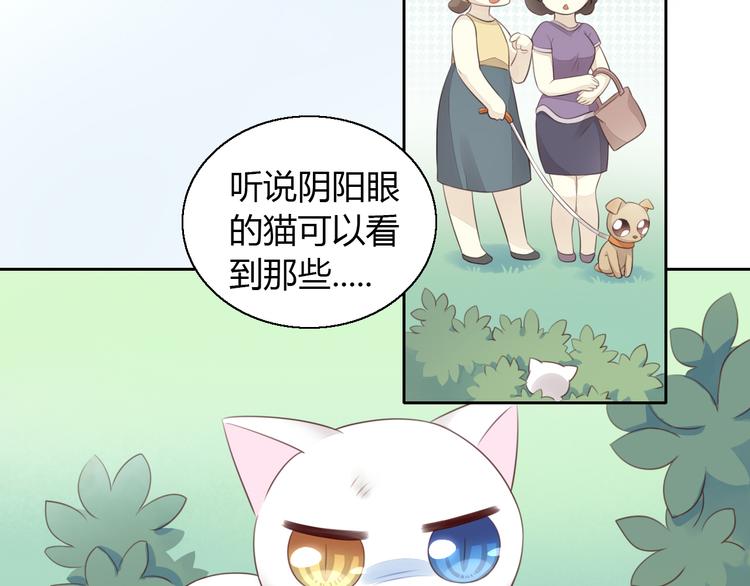 《猫爪之下》漫画最新章节第57话 替代品免费下拉式在线观看章节第【43】张图片