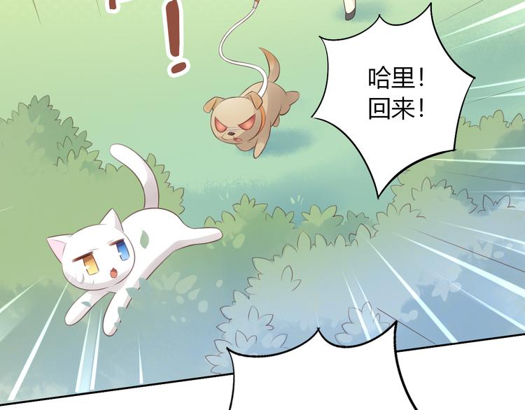 《猫爪之下》漫画最新章节第57话 替代品免费下拉式在线观看章节第【47】张图片