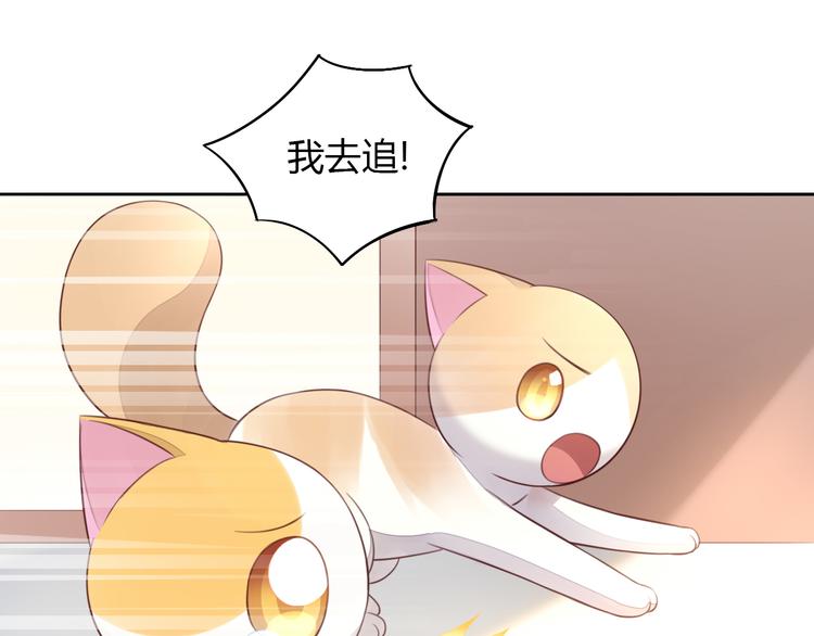 《猫爪之下》漫画最新章节第58话 你不像他免费下拉式在线观看章节第【26】张图片