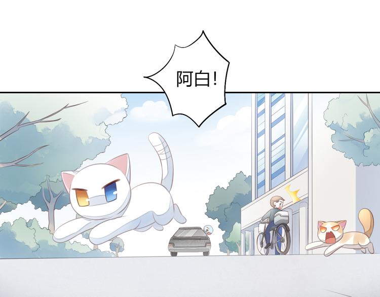 《猫爪之下》漫画最新章节第58话 你不像他免费下拉式在线观看章节第【37】张图片