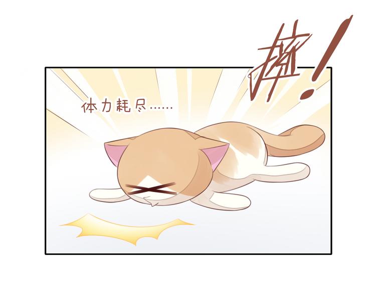 《猫爪之下》漫画最新章节第58话 你不像他免费下拉式在线观看章节第【43】张图片