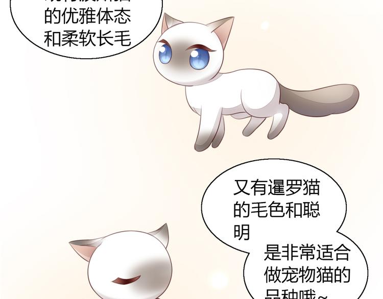 《猫爪之下》漫画最新章节第59话 我们的相遇免费下拉式在线观看章节第【14】张图片